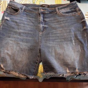 Judy Blue Denim Distressed Shorts 3XL